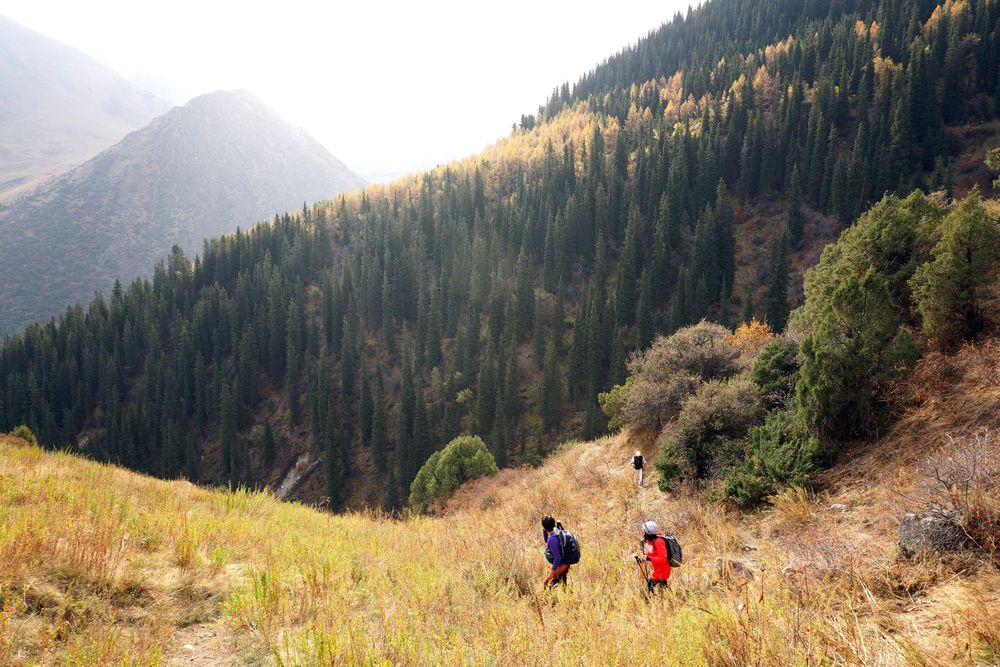 Выезд в Ала-Арчу и экскурсия по Бишкеку с посещением Музея