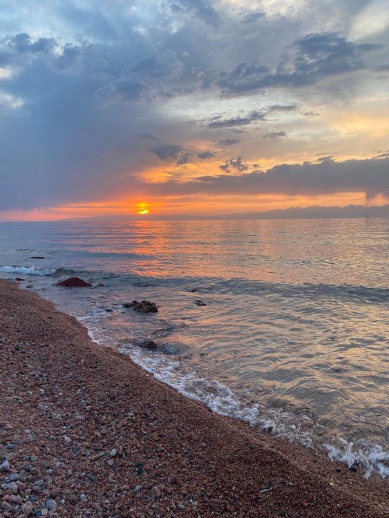 Маковые поля Киргизии. Весенний тур на озеро Иссык-Куль.