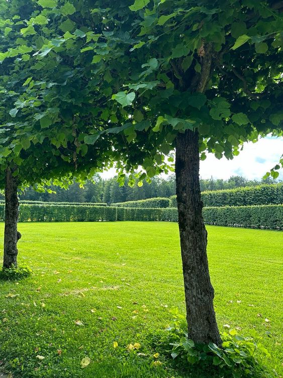 Санкт-Петербург: неочевидный и невероятный