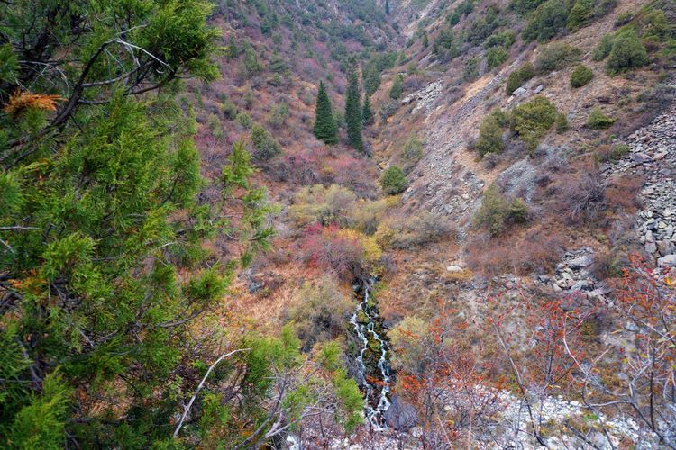 Три ущелья за 1 день — Ала-Арча, Аламедин, Чункурчак