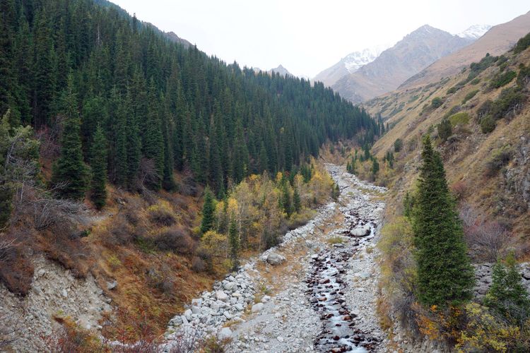Экскурсия в Ала-Арчу из Бишкека: горные вершины и горная форель