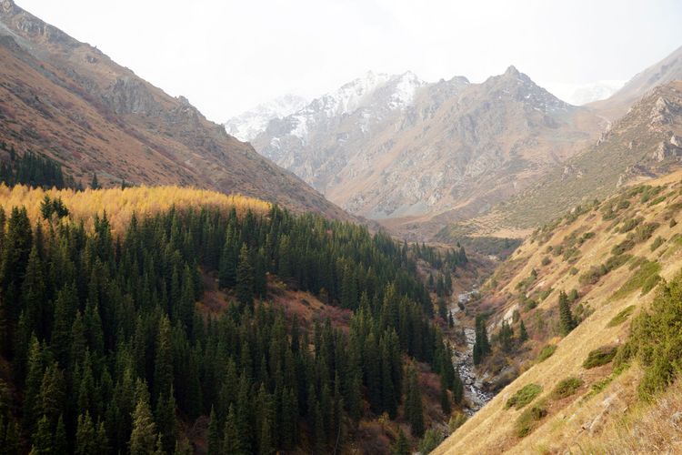 Экскурсия в Ала-Арчу из Бишкека: горные вершины и горная форель