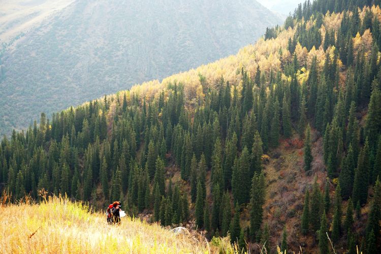 Маковые поля Киргизии. Весенний тур на озеро Иссык-Куль.