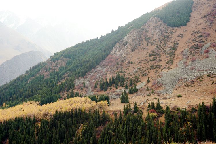 Экскурсия в Ала-Арчу из Бишкека: горные вершины и горная форель