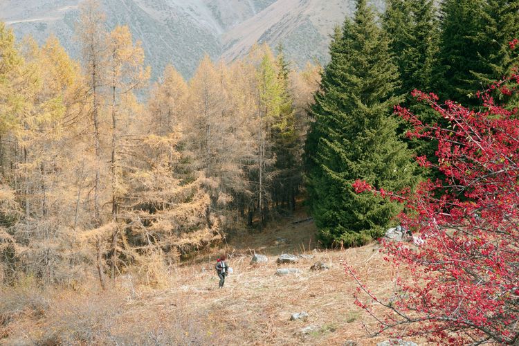 Три ущелья за 1 день — Ала-Арча, Аламедин, Чункурчак