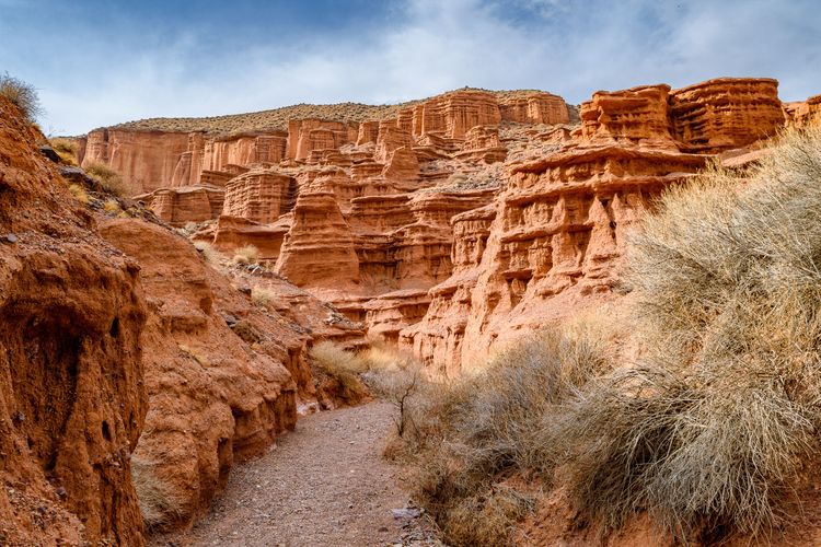 Маковые поля Киргизии. Весенний тур на озеро Иссык-Куль.