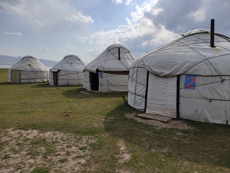 Маковые поля Киргизии. Весенний тур на озеро Иссык-Куль.