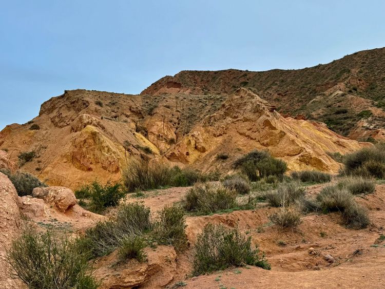 Маковые поля Киргизии. Весенний тур на озеро Иссык-Куль.