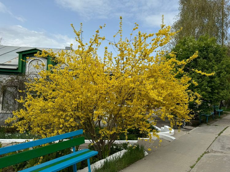 Вокруг озера Иссык-Куль за 6 дней