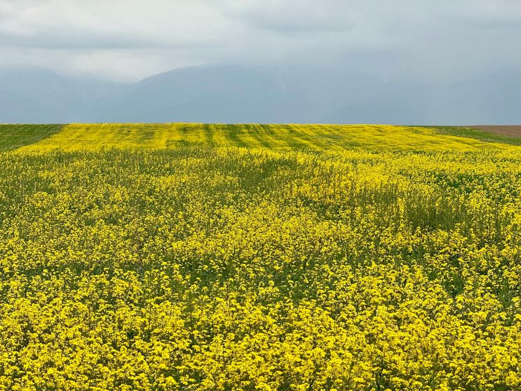 День в ущельях Северного берега