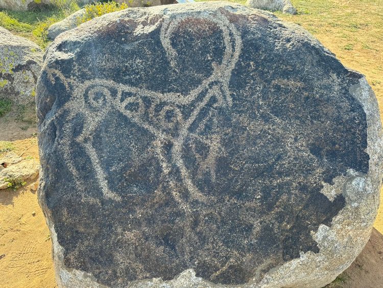 Выезд в аэропорт