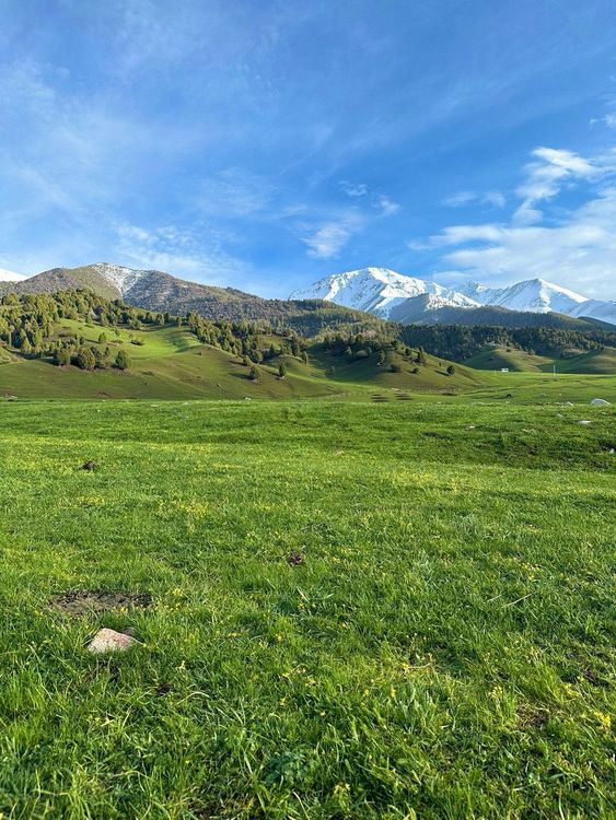 Экскурсия в Ала-Арчу и Чункурчак на 1 день