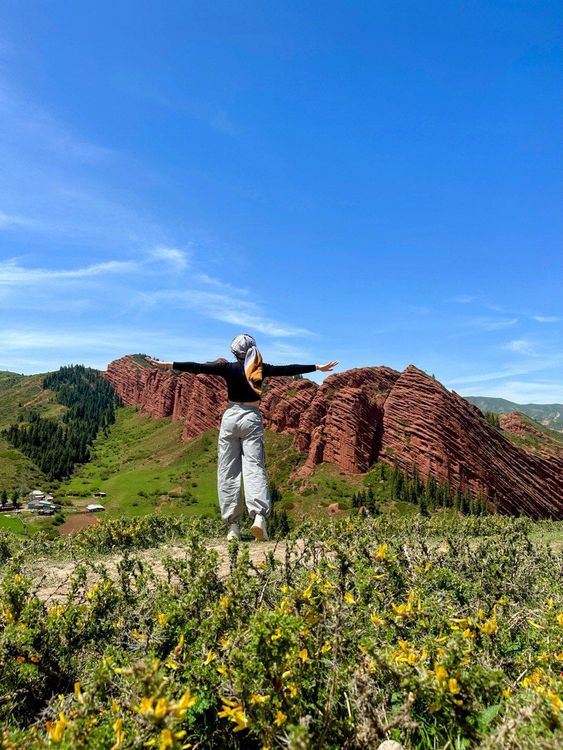 Маковые поля Киргизии. Весенний тур на озеро Иссык-Куль.