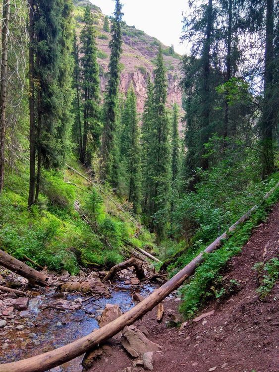 Три ущелья за 1 день — Ала-Арча, Аламедин, Чункурчак