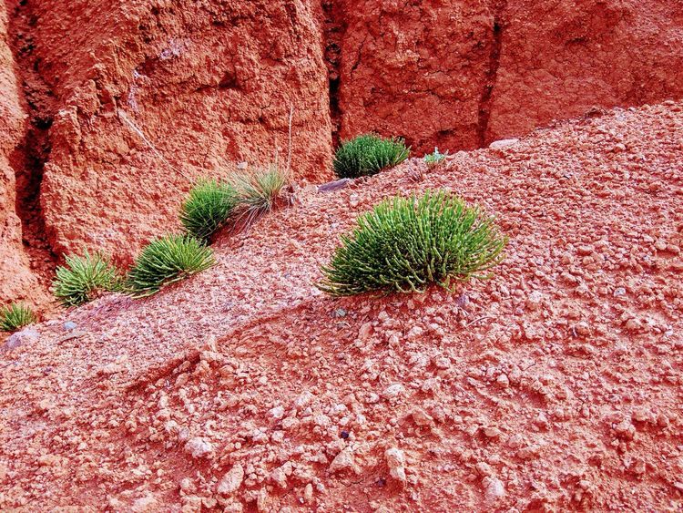 Экскурсия на южный берег Иссык-Куля: каньон Сказка, водопады Барскоона