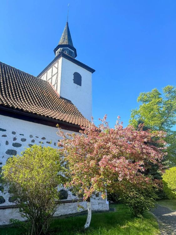 Тур в Калининград на 3 дня: замки и рыцари