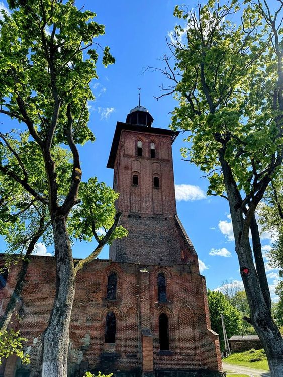 Тур в Калининград на 3 дня: замки и рыцари