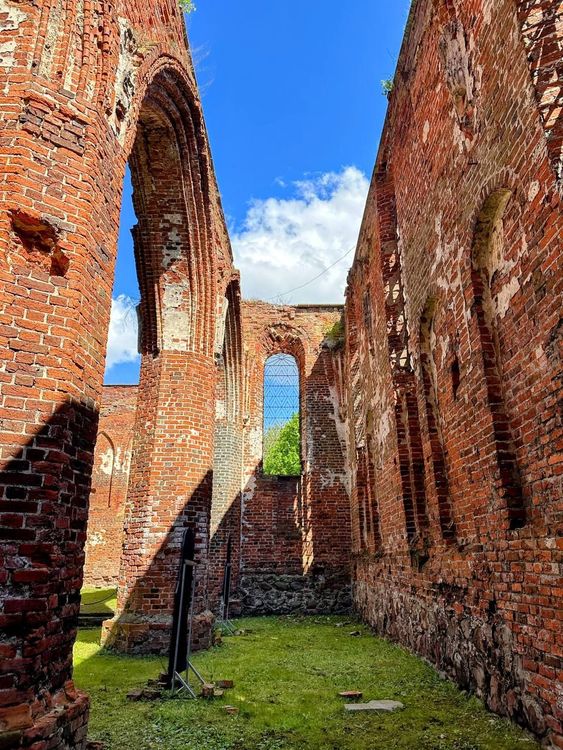 Тур в Калининград на 3 дня: замки и рыцари