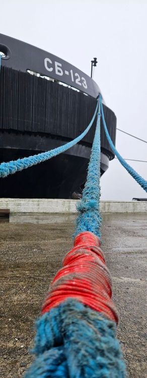 Тур в Калининград на 3 дня: замки и рыцари