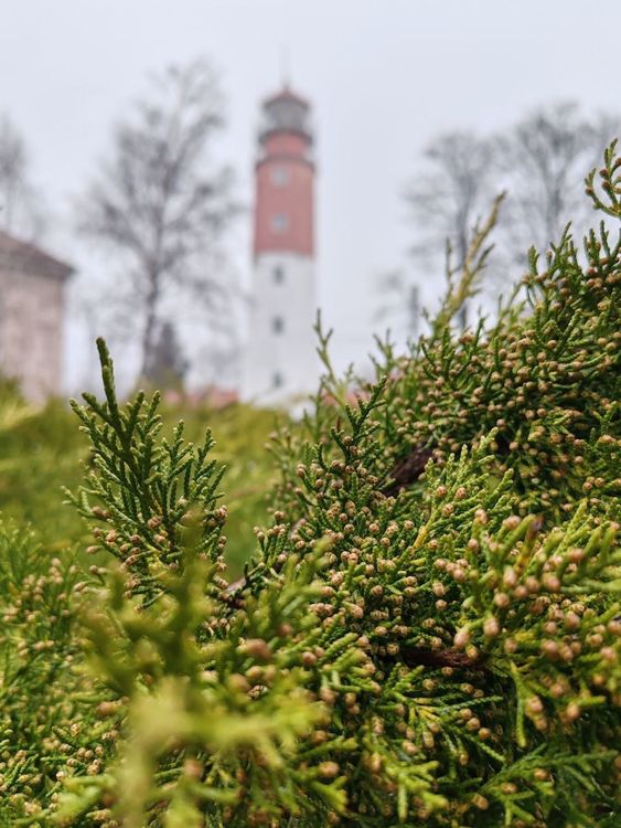 Тур в Калининград на 6 дней — замки и кирхи Восточной Пруссии